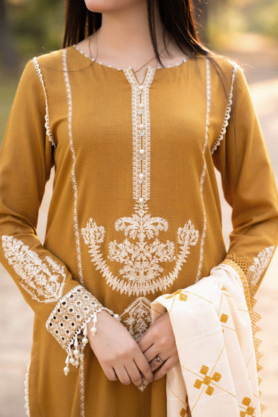 3 Piece Stitched Dhanak Suit - Ready To Wear